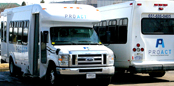 ProAct-buses-3-12-web-174